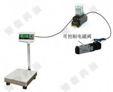 100kg����_�ӎ�4-20������̖ݔ